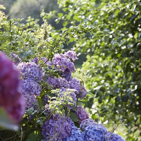 Hotel Nordica Berlin