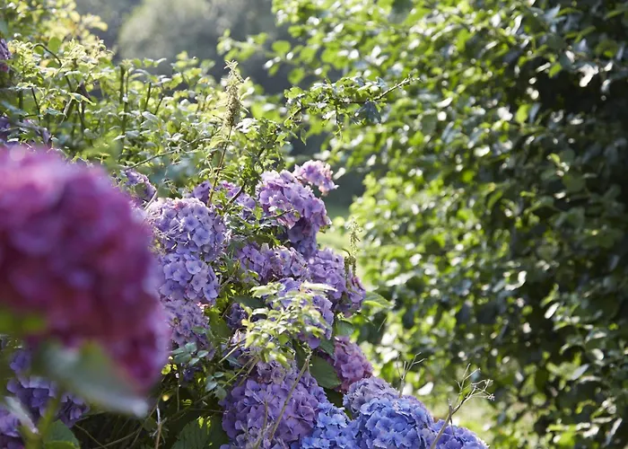 Hotel Nordica Berlin